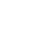 rush yds,9