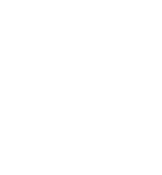 pass yds,20
