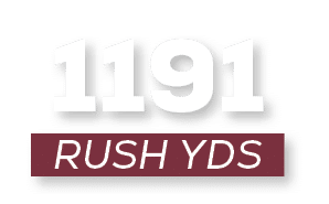 RUSH YDS,119