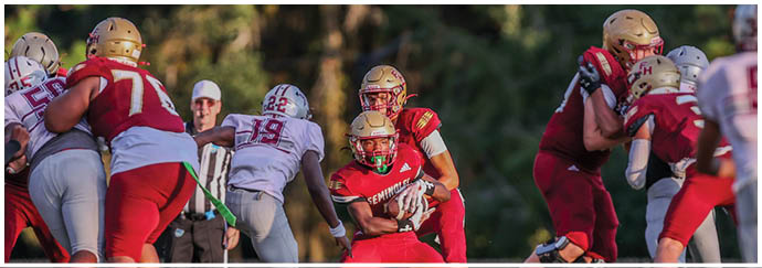 Several people in football uniforms are engaged in a game on a field with trees in the background. Description generated by AI