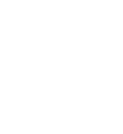 rush yds,14