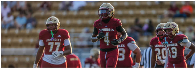Several people in football uniforms with “Seminoles" on their jerseys are standing on a field with a blurred background of bleachers. Description generated by AI