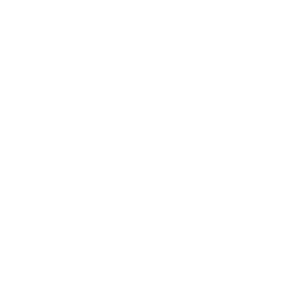 Canajoharie Cobleskill *Schoharie Middleburgh *Broadalbin Bishop Scully *Whitehall *Perth
