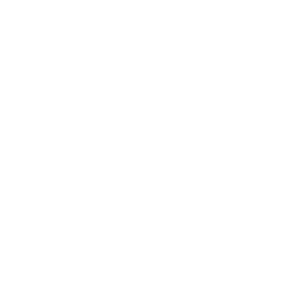 Broadalbin Perth *Canajoharie Coxsackie Athens *Chatham Watervliet Taconic Hills *Bishop Gibbons *&Mechanicville