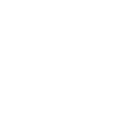 *Cambridge Dolgeville *Canajoharie Broadalbin Bishop Scully Perth *Schoharie *Middleburgh