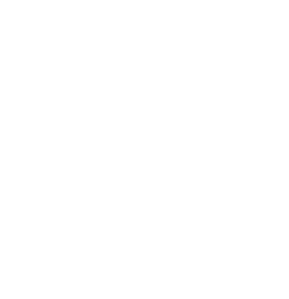 *Bishop Scully Broadalbin Fort Plain *Middleburgh Schoharie Perth *Canajoharie *Cobleskill