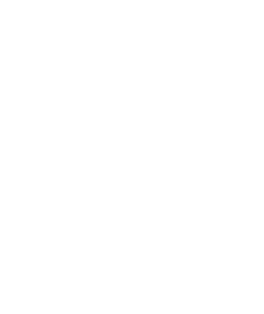 Granville *Canajoharie *Middleburgh Broadalbin Perth *Cobleskill Fort Plain *Albany Academy Bishop Scully