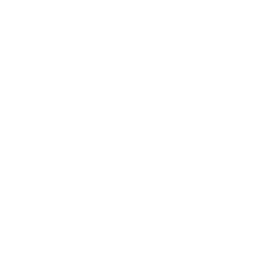 *Coxsackie –Athens Canajoharie *Chatham *Catholic Central Taconic Hills *Ichabod Crane Watervliet *&Granville