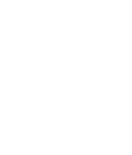 *Mechanicville *Stillwater Greenwich *Voorheesville Chatham Hoosic Valley Holy Trinity * Ichabod Crane * Taconic Hills