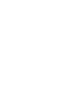 Bishop Scully *Fort Plain Schoharie Cobleskill *Broadalbin Canajoharie *Perth Middleburgh