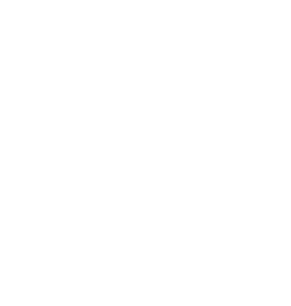 Schoharie *Bishop Scully Fort Plain *Cobleskill Broadalbin *Canajoharie Perth *Middleburgh