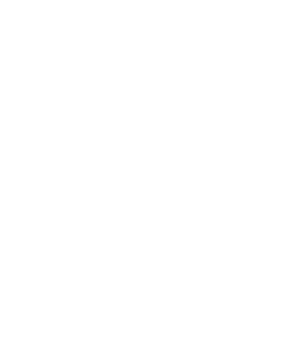 Johnstown Hudson Falls Lansingburgh Cobleskill *Draper Canajoharie *Tamarac *Bishop Scully