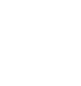 Guilderland Schuylerville *Mechanicville *Hoosick Falls Canajoharie *Granville Cobleskill *Bishop Scully