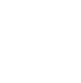 Bishop Gibbons *Catholic Central Coxsackie Athens Chatham *Watervliet *Taconic Hills *&Schalmont &Ravena
