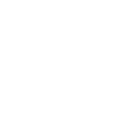 *Taconic Hills Watervliet *Chatham Coxsackie Athens *Cob. Rich. Voorheesville *&Tamarac &Hoosick Falls