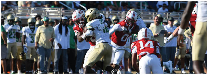 People in football uniforms are engaged in a play on a field with spectators and coaches watching from the sidelines. Description generated by AI