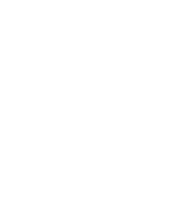 rush yds,17