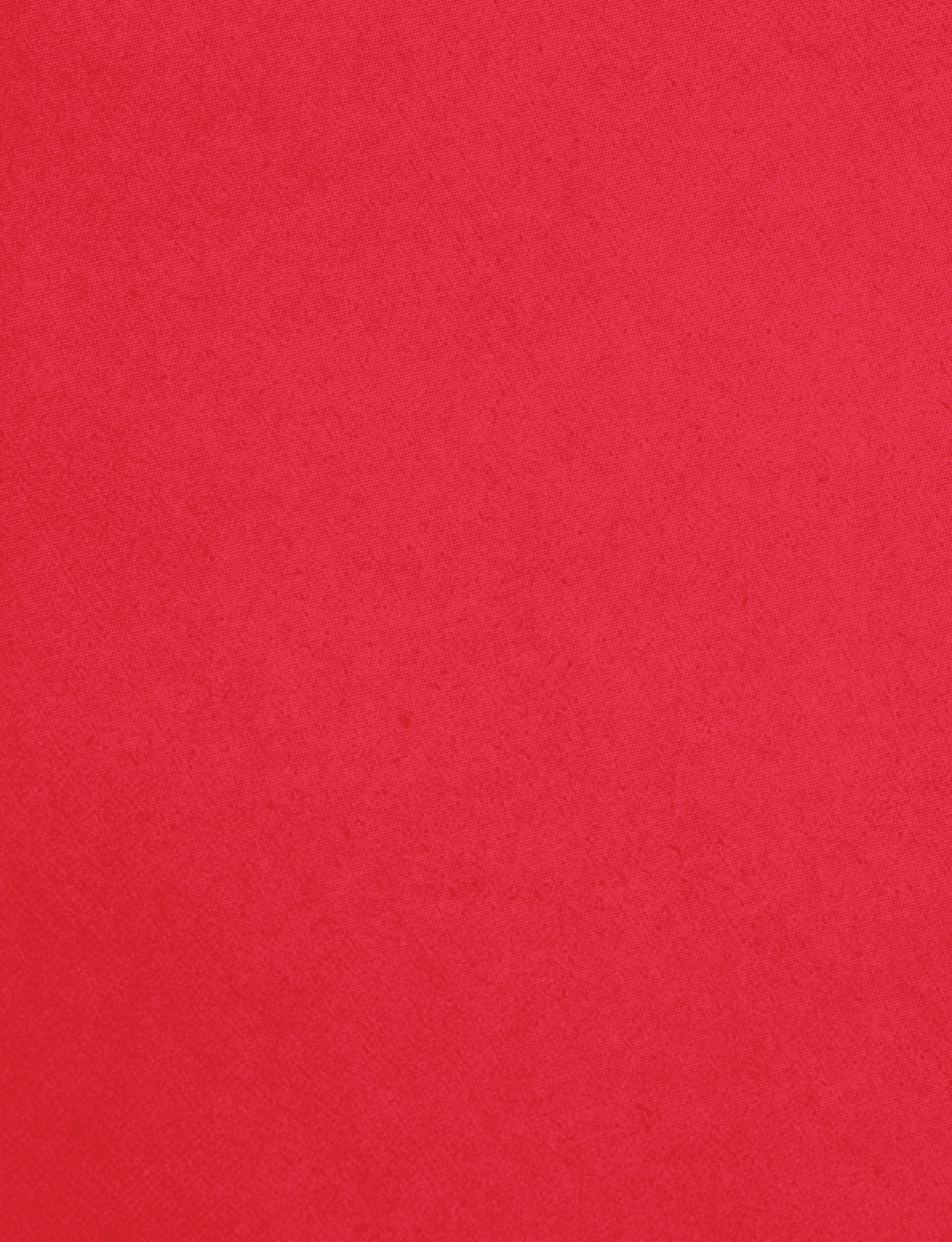 A red cloth with a red border. Description generated by AI