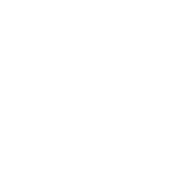 rush yds,24