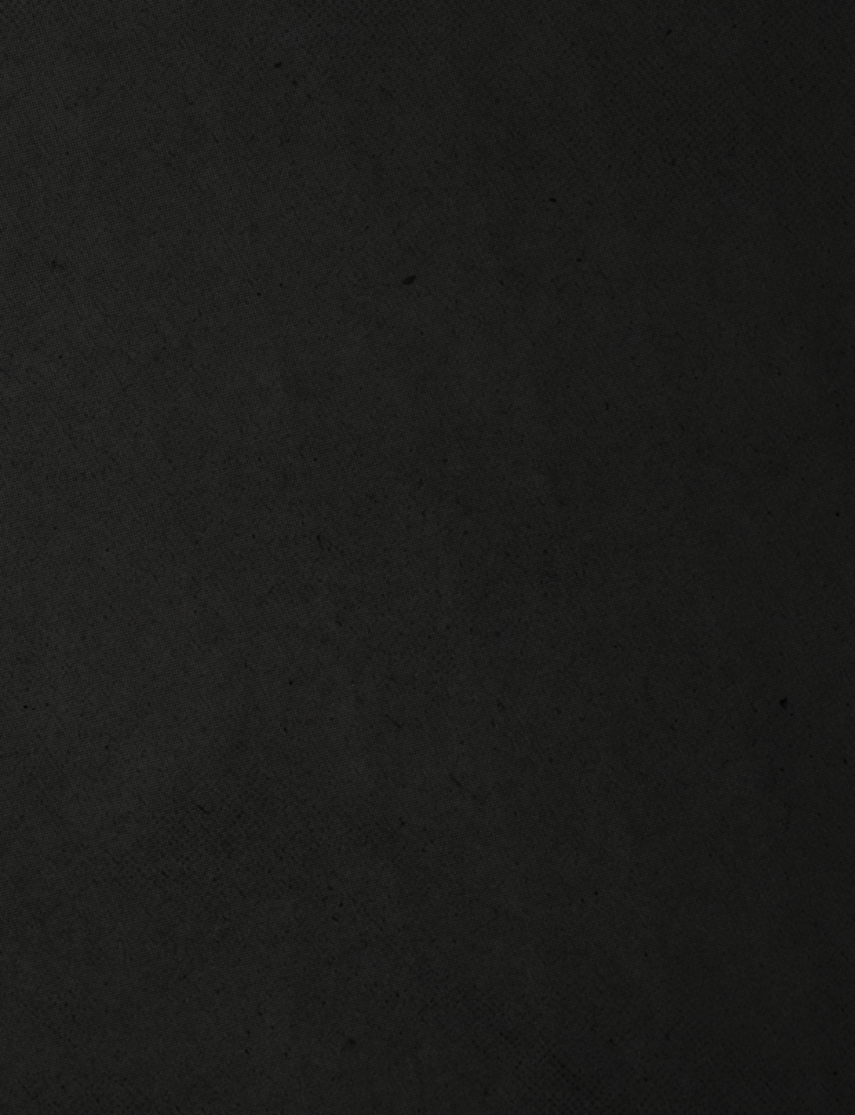 A black and red striped cloth. Description generated by AI