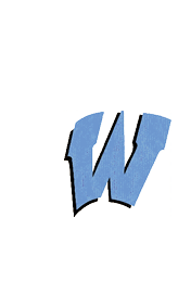 A blue and white logo for Valor. Description generated by AI