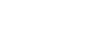 media day
