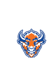 A blue and white logo for Valor. Description generated by AI