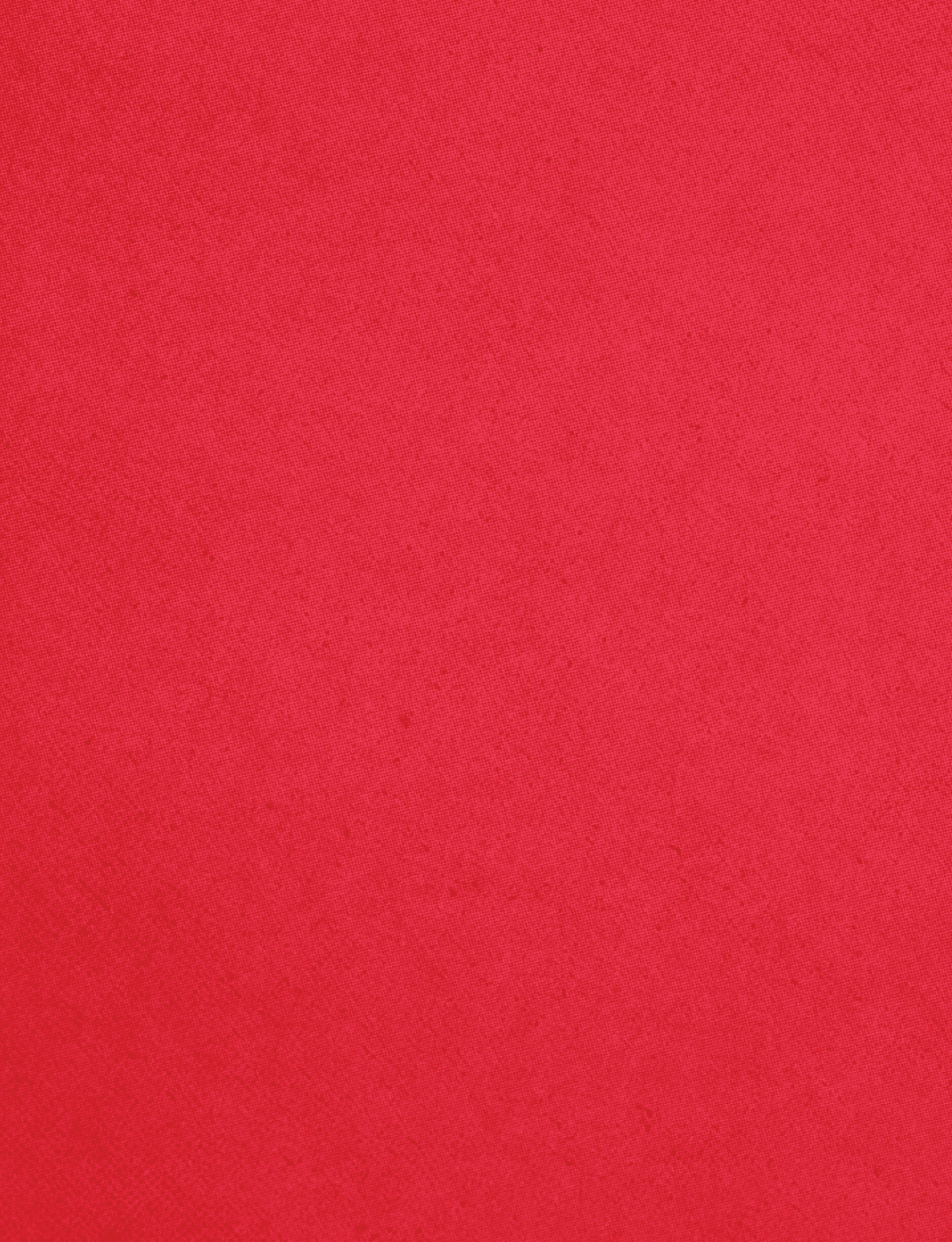 A red cloth with a red border. Description generated by AI
