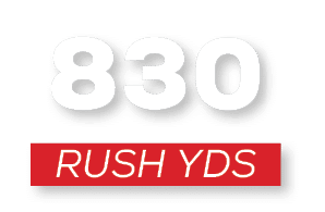 RUSH YDS,83