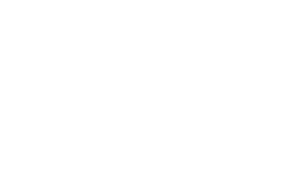 FANVERSE SPORTS