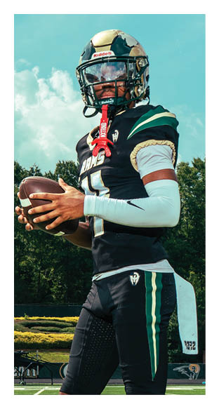 A man in a green shirt and black pants is preparing to throw a football. AI generated content