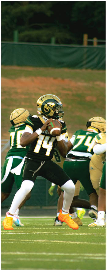A football player running on the field. Description generated by AI