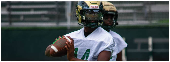 A football player wearing a blue and white uniform. Description generated by AI
