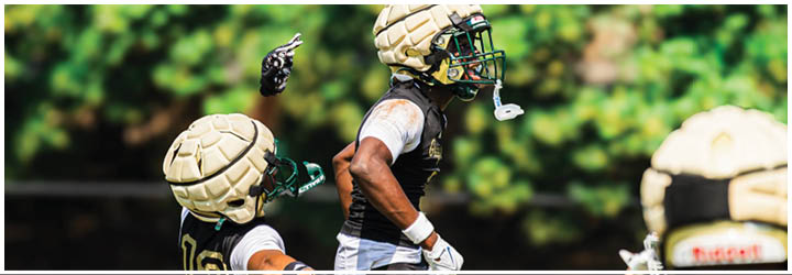A group of football players on a field. Description generated by AI