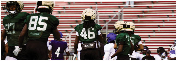 A group of football players on a field. Description generated by AI