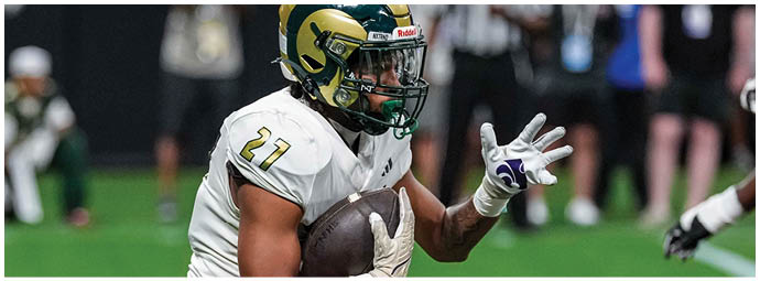 A person wearing a white football uniform with a Green Bay Packers logo is holding a football tightly while running on a green field. Description generated by AI