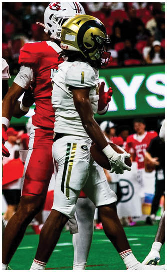People wearing football uniforms are standing on a green field during a game or practice. Description generated by AI