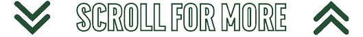 Two green downward arrows flank the text “SCROLL FOR MORE" in bold, outlined capital letters with a white background. Description generated by AI