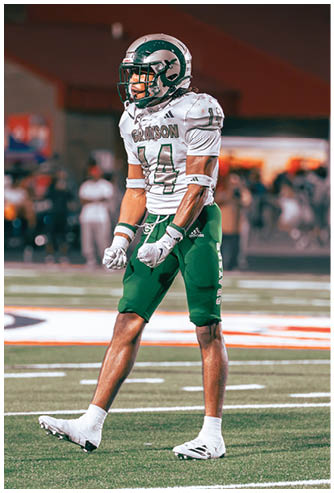 A person wearing a football uniform with a helmet and gloves is standing on a football field during a game. Description generated by AI