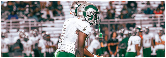 Two people wearing football helmets and white jerseys are standing on a field with a blurred crowd in the background. Description generated by AI