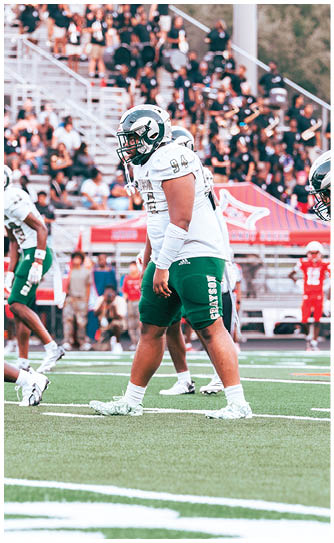 An adult wearing a white football uniform with green pants and helmet is standing on a football field with other players and a crowd in the background. Description generated by AI