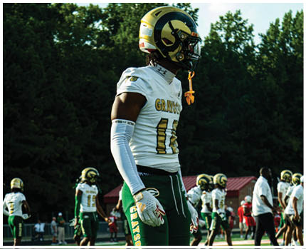 A person wearing a white football jersey with the number 10 and a gold and black helmet stands on a field with trees in the background. Description generated by AI