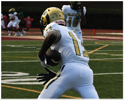 A person in a white football uniform with the number 13 is holding a football and preparing to make a play on a green field with yard lines. Description generated by AI