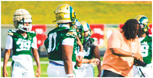 People wearing green and white football uniforms stand on a field while a person in an orange shirt and dark pants holds a whistle and appears to be coaching. Description generated by AI