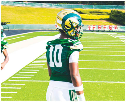 A person wearing a green and white football uniform with the number 10 on the back and a helmet stands on a football field looking to the side. Description generated by AI