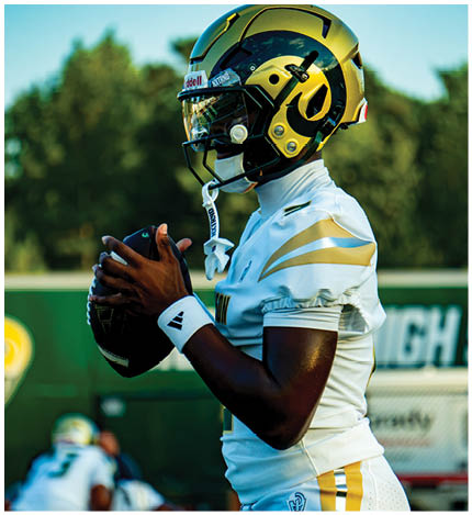 People wearing white and gold football uniforms and helmets are preparing for a play on a football field with empty bleachers in the background. Description generated by AI
