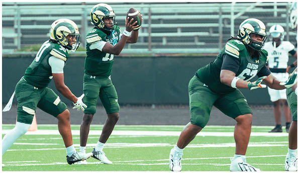 Four people wearing football helmets and uniforms are lined up facing an opponent on a field. Description generated by AI