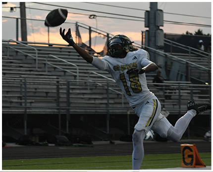 A person wearing a green and white football uniform with the number 10 on the back and a helmet stands on a football field looking to the side. Description generated by AI