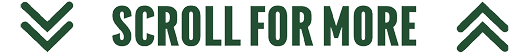 Two green downward arrows flank the phrase “SCROLL FOR MORE" in bold uppercase letters with two green upward arrows on the right side. Description generated by AI