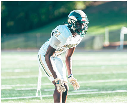 A person in a white football uniform with the number 13 is holding a football and preparing to make a play on a green field with yard lines. Description generated by AI